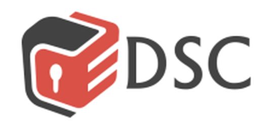 DSC, IT-компания